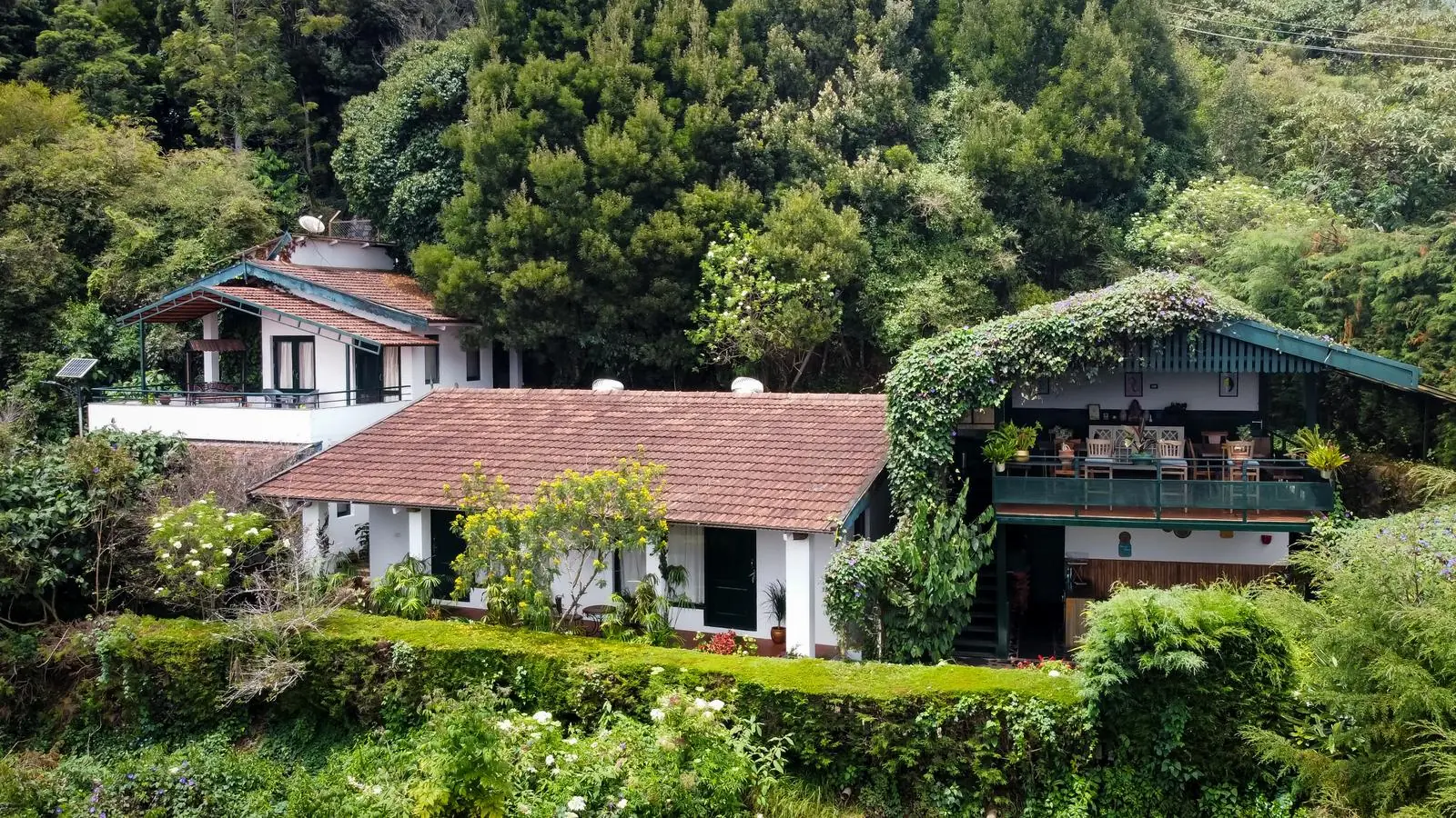 The Tamarillo from above: the house and the creeper-covered restaurant deck on a green hillside